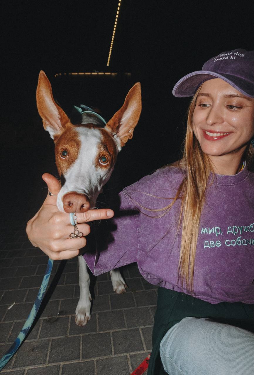 Dogs