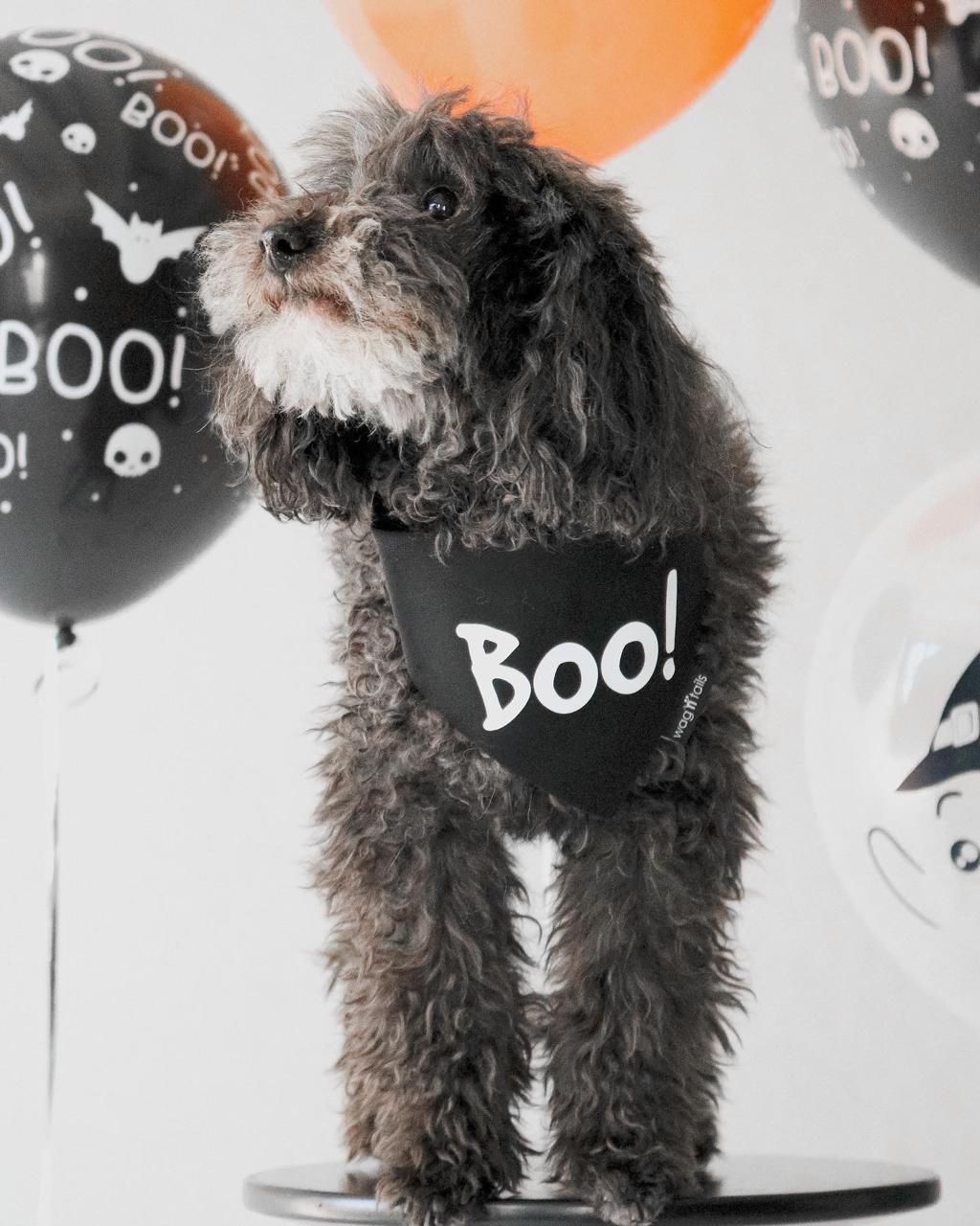 Бандана BOO! хеллоуин